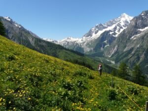 Tour du Mont Blanc